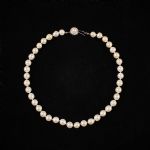 632119 Pearl necklace